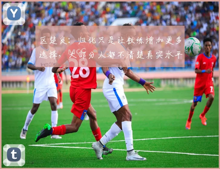 区楚良：归化只是让教练增加更多选择，大部分人都不清楚真实水平