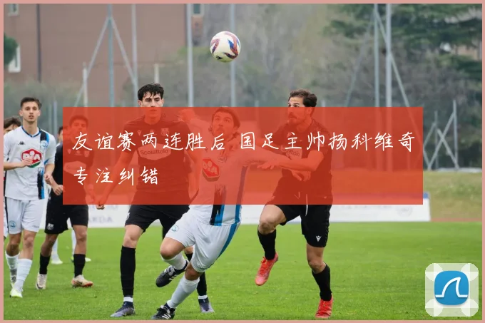 友谊赛两连胜后 国足主帅扬科维奇专注纠错