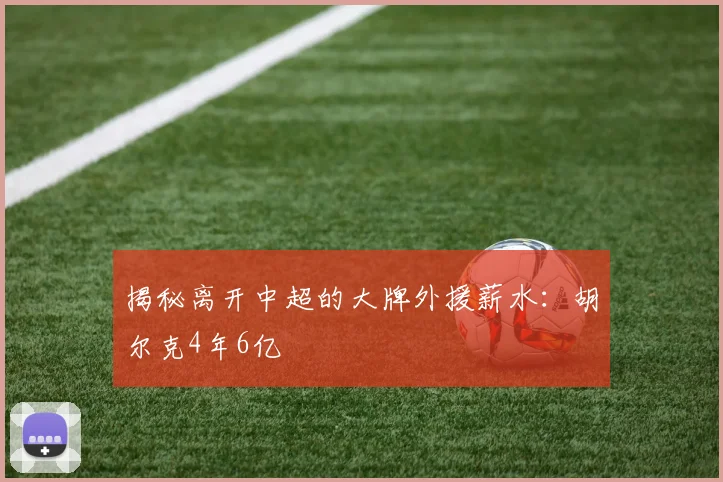 揭秘离开中超的大牌外援薪水：胡尔克4年6亿